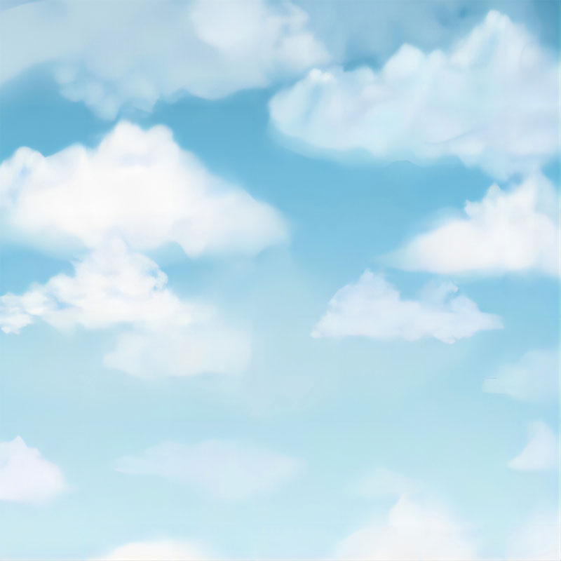 Fox Blue Sky Cloud Children photography Vinyl Backdrop