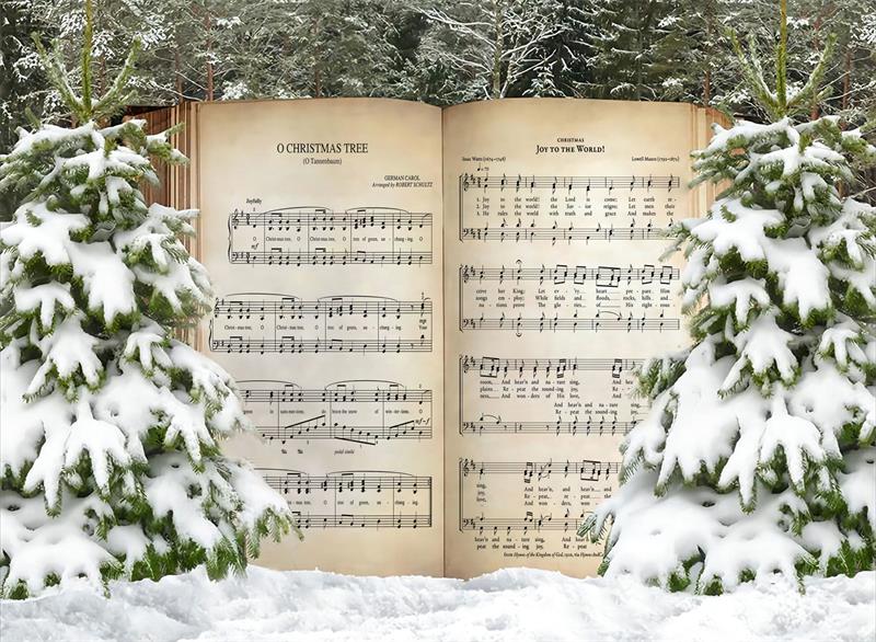 Fox Winter Music Snow Outdoor Photography Vinyl Backdrop