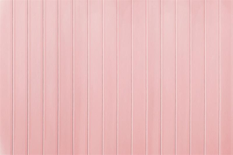 Fox Pink Plank Stripes Photography Vinyl Backdrop