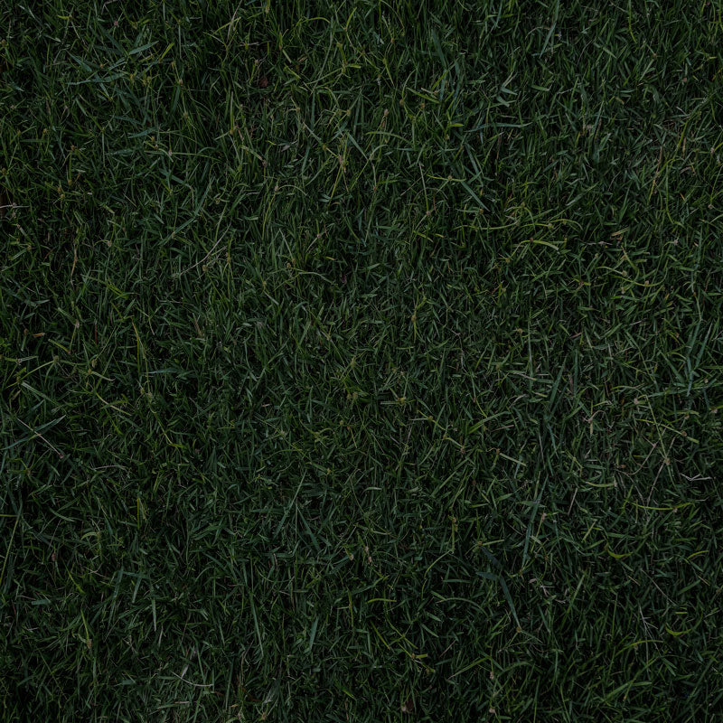 Fox Spring Dark Green Grass Vinyl Backdrop Photography