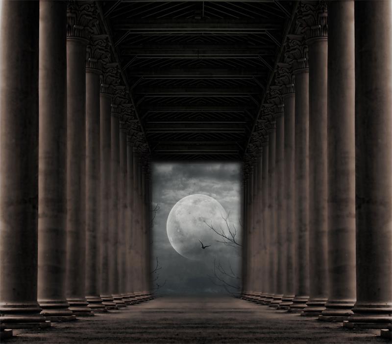 Fox Light Pillar Halloween Vinyl Backdrop Photography