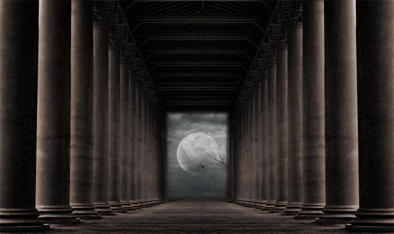 Fox Light Pillar Halloween Vinyl Backdrop Photography