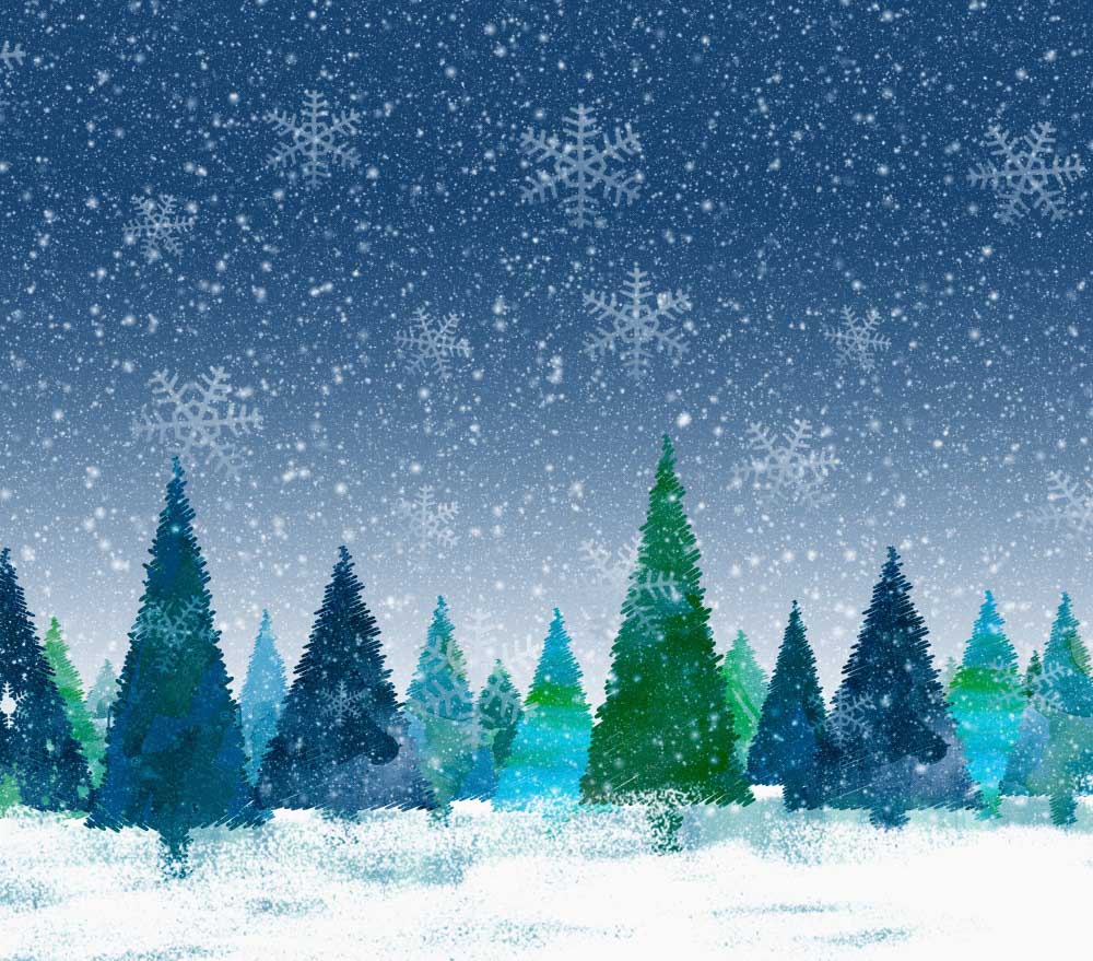 Fox Winter Snow Photostudio Vinyl Backdrop