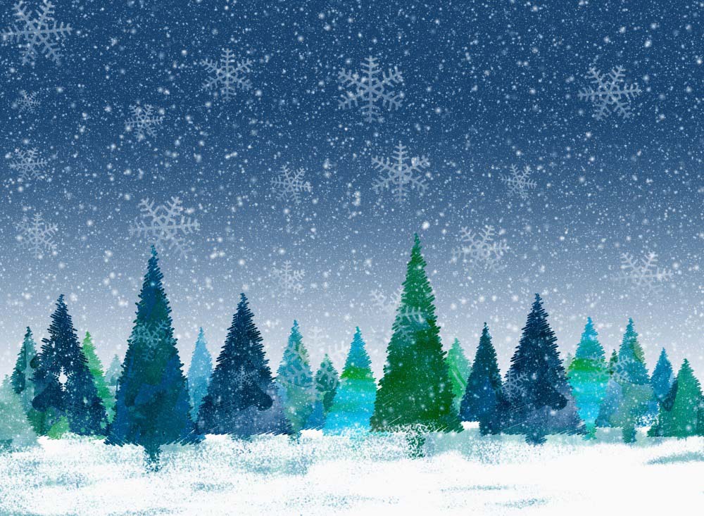 Fox Winter Snow Photostudio Vinyl Backdrop