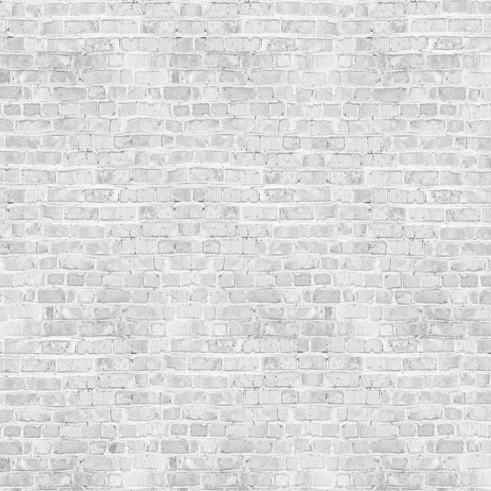 Fox White Brick Wall Light Grey Wall Vinyl Portrait Backdrop Designed by JT photography