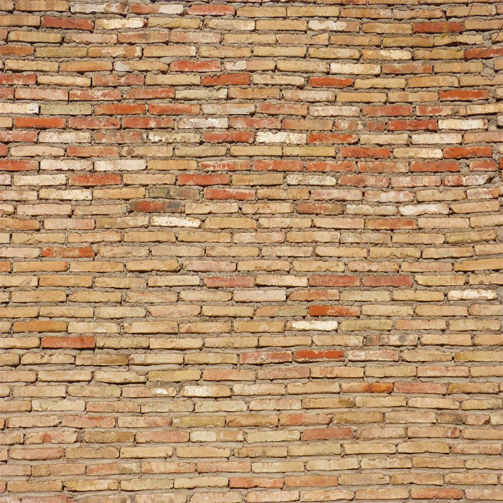 Fox Yellow Brick Wall Photography Vinyl Backdrop
