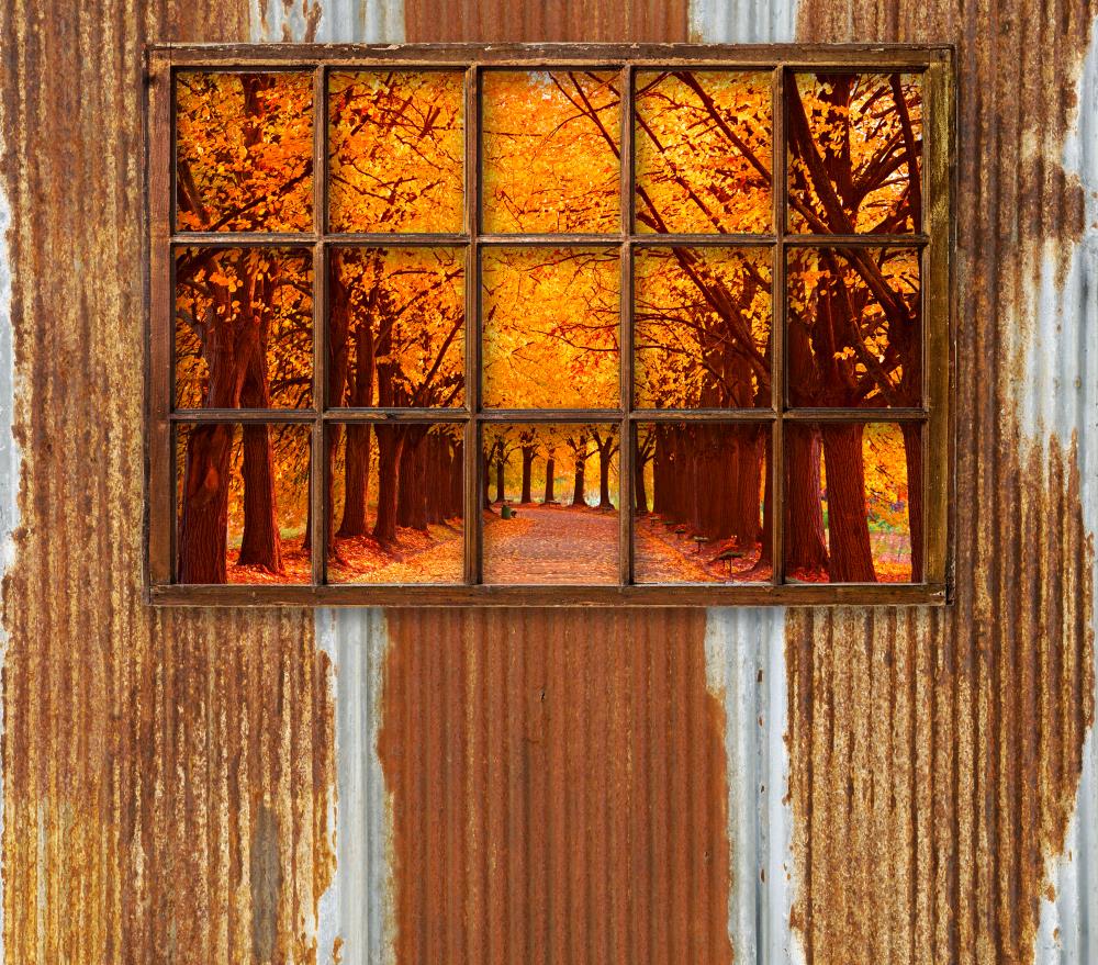 Fox Autumn Forest outside the Window Vinyl Backdrop