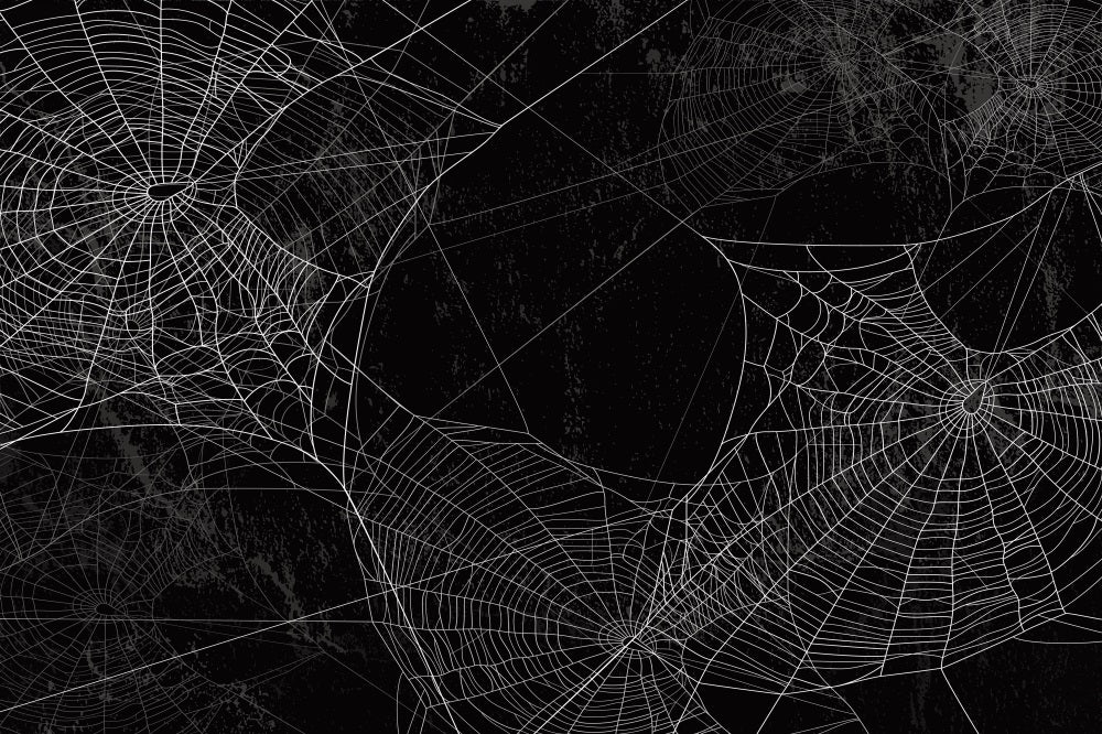 Fox Halloween Black Spider Web Vinyl Backdrops