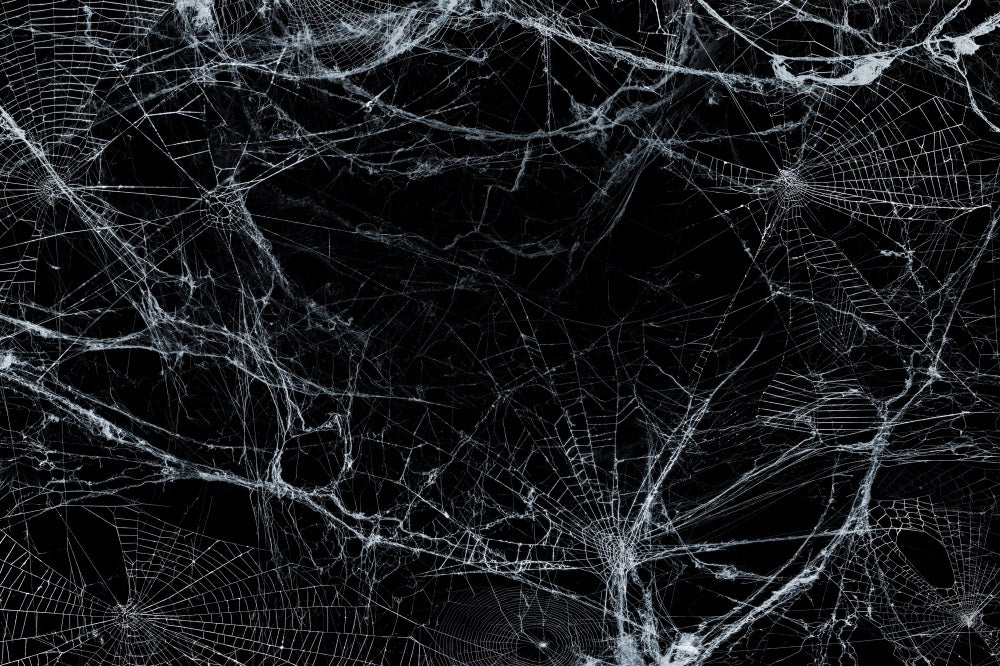 Fox Halloween Spider Web Vinyl Backdrops