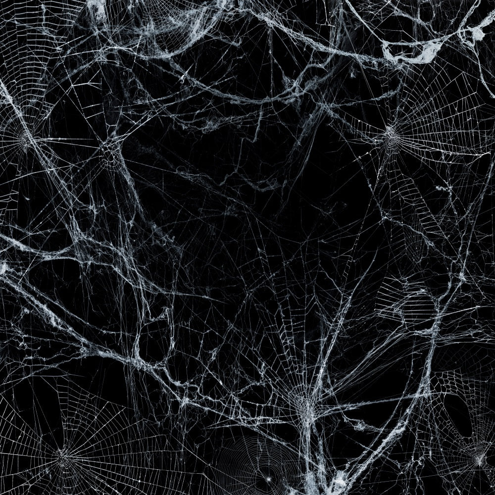 Fox Halloween Spider Web Vinyl Backdrops