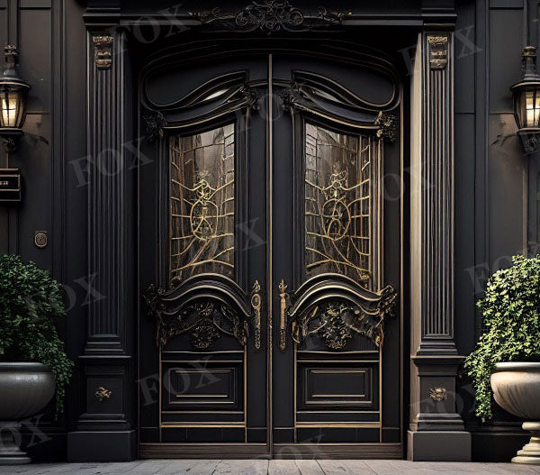 Fox Vintage Doors and Windows Fabric/Vinyl Photography Backdrop Designed By Blanca Perez