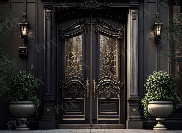 Fox Vintage Doors and Windows Fabric/Vinyl Photography Backdrop Designed By Blanca Perez