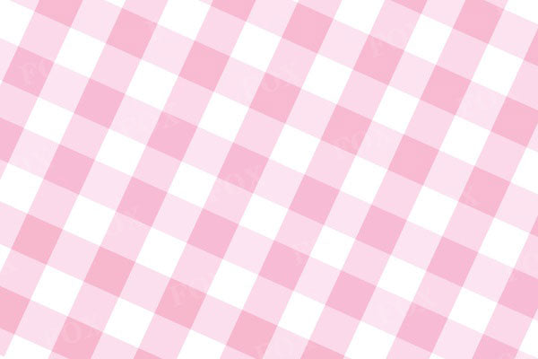 Fox Pink Plaid Summer Vinyl Backdrop Designed By Blanca Perez