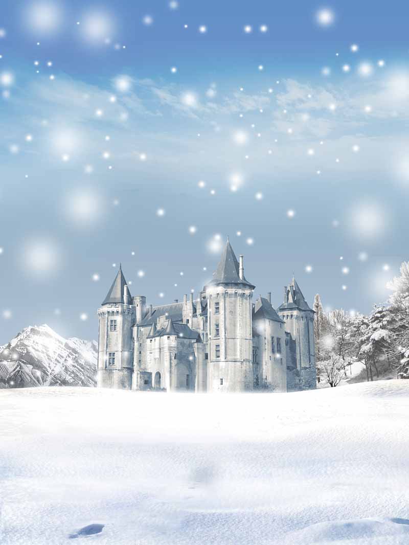 Fox Rolled Snow Winter Castle Vinyl Photo Backdrop - Foxbackdrop