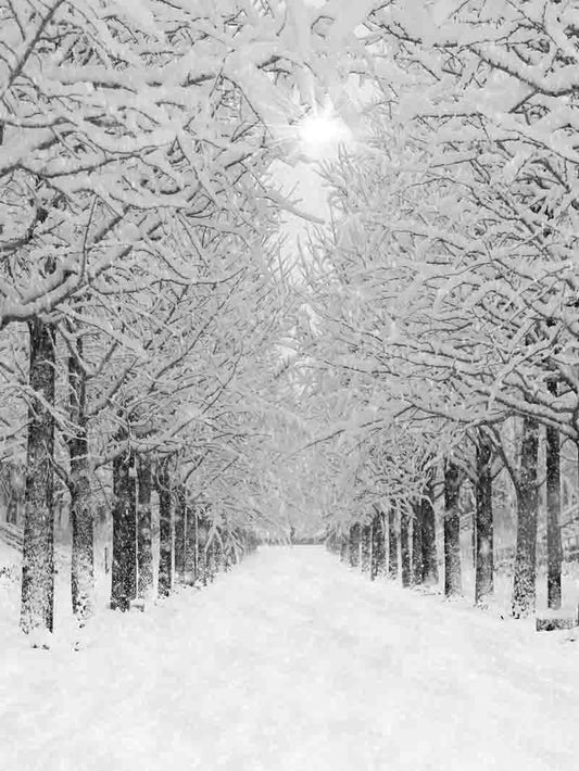 Fox Rolled Winter Snow Forest Vinyl Photos Backdrop - Foxbackdrop