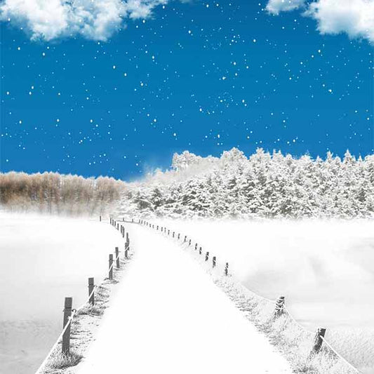 Fox Rolled Winter Snow Bridge Vinyl Photography Backdrop - Foxbackdrop