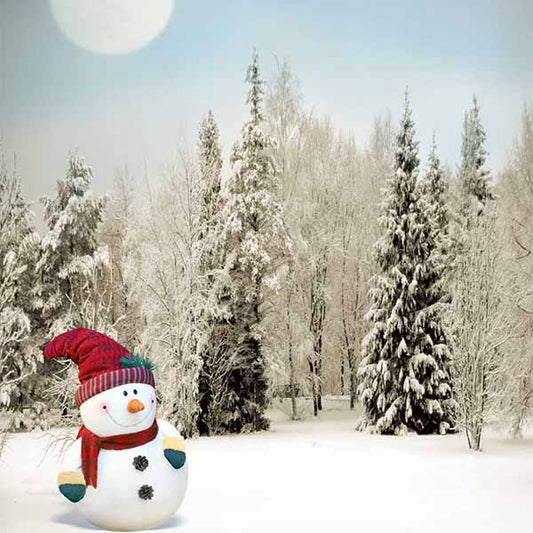 Fox Rolled Outdoor Winter Snowman Vinyl Photography Backdrop - Foxbackdrop