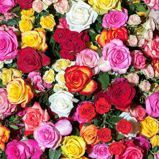 Fox Rolled Colorful Flowers Vinyl Photography Backdrop - Foxbackdrop