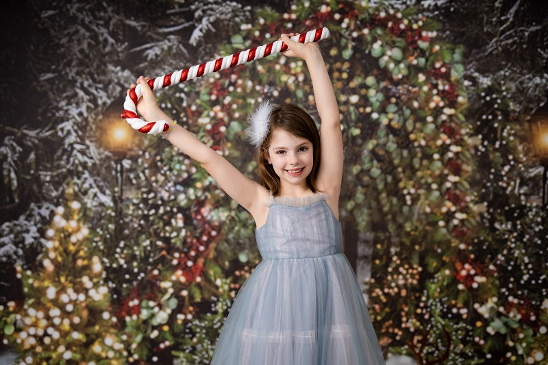 Fox Snow Lights Vinyl Christmas Backdrops