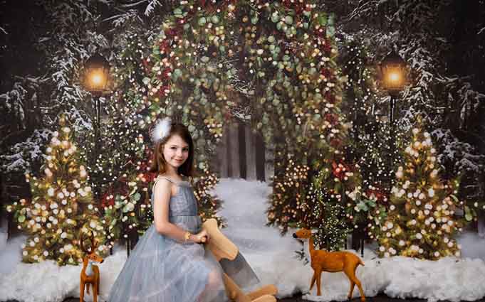 Fox Snow Lights Vinyl Christmas Backdrops