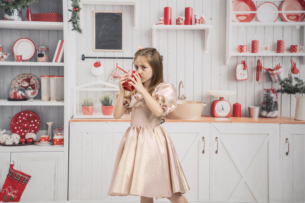 Fox Christmas Kitchen Vinyl Cloth Backdrop