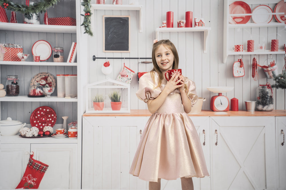 Fox Christmas Kitchen Vinyl Cloth Backdrop