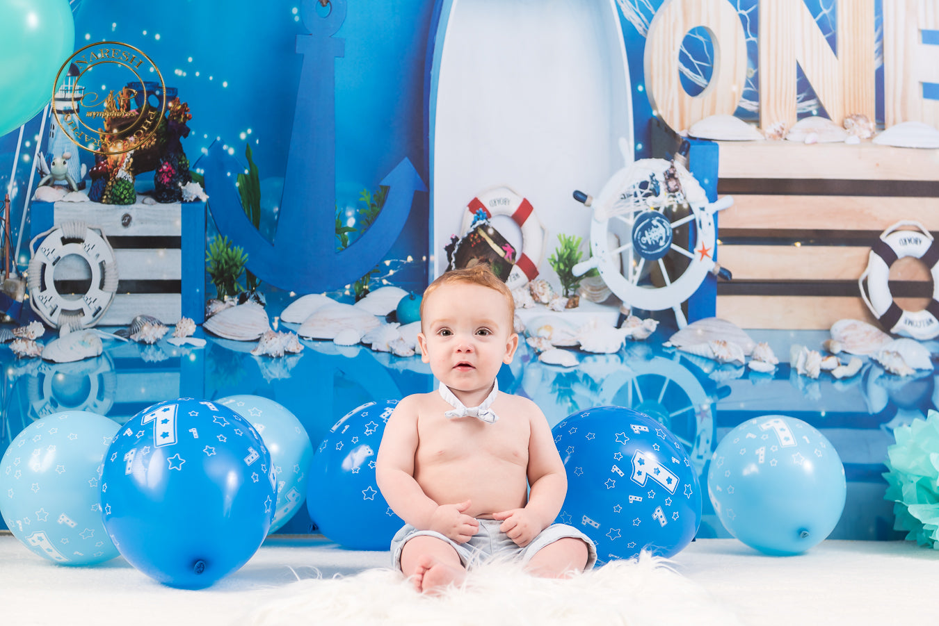 Fox Summer Voyage Blue Vinyl Backdrop for Boy One Year Birthday Designed by Maria Gabriela - Foxbackdrop