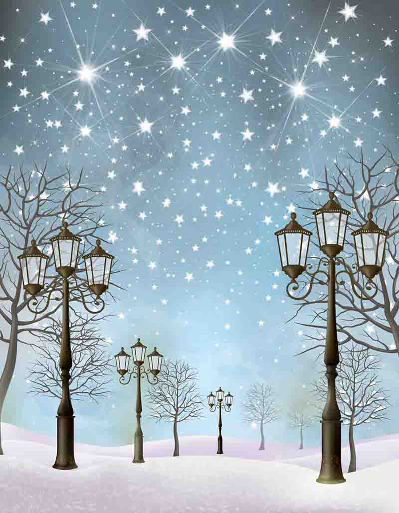Fox Rolled Winter Snow Lights Vinyl Photo Backdrop - Foxbackdrop
