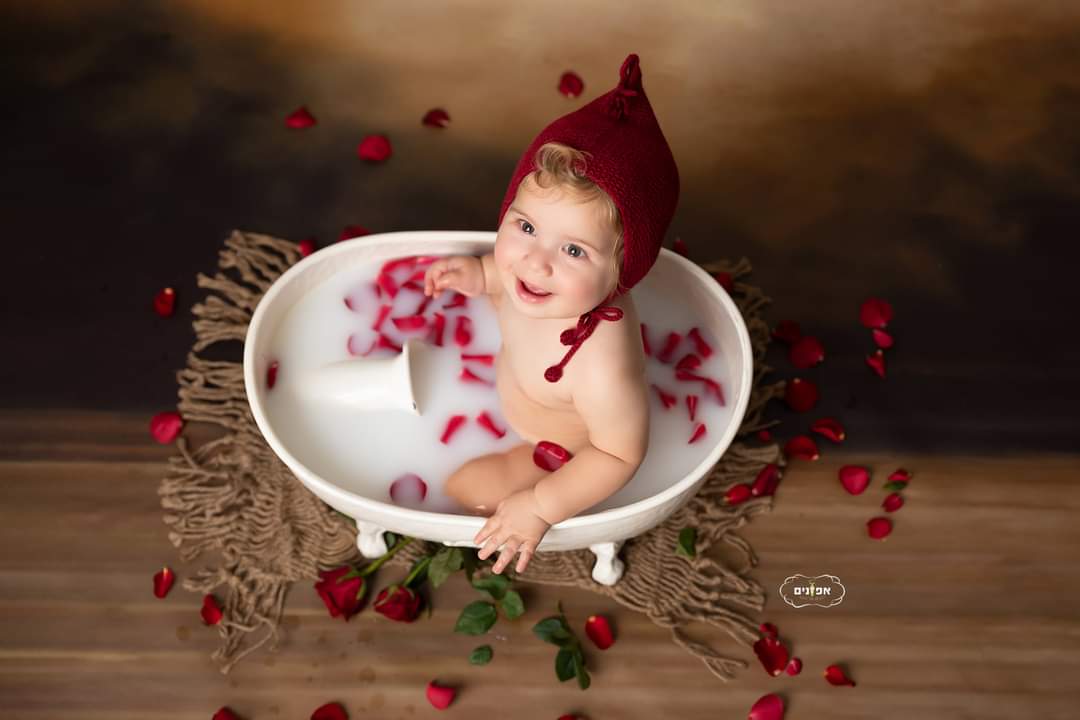 Fox Champagne Flowers Retro Floral Vinyl Backdrop