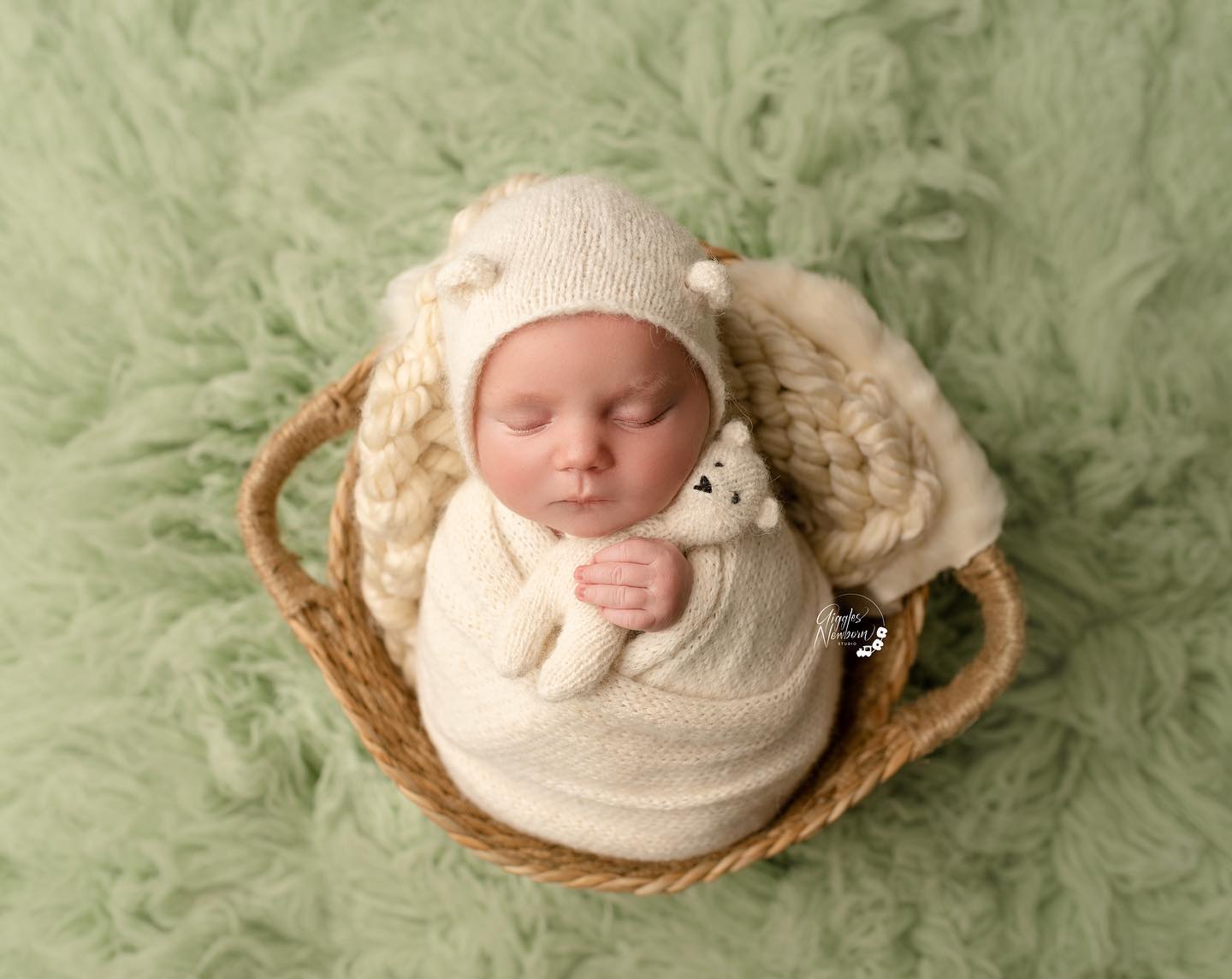 Fox Natural Baskets for Newborn Photo Props