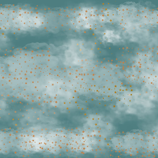 Fox Rolled Children Birthday Clouds Stars Vinyl Backdrop - Foxbackdrop