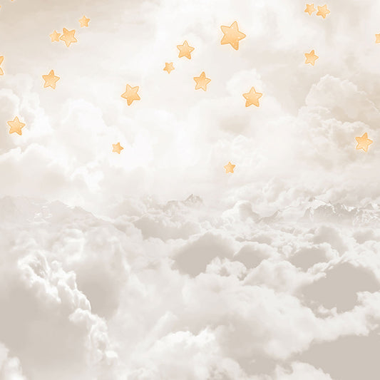 Fox Sky Clouds Stars Children Birthday Vinyl Backdrop - Foxbackdrop
