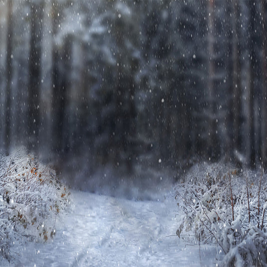 Fox Rolled Winter Sky Moon Vinyl Photos Backdrop - Foxbackdrop