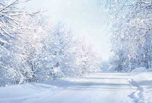 Fox Rolled Winter Snow Road Trees Vinyl Photos Backdrop - Foxbackdrop
