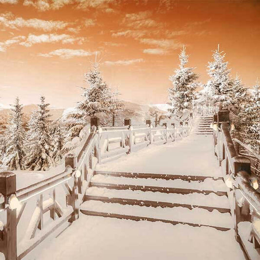 Fox Rolled Winter Snow Bridge Trees Vinyl Backdrop - Foxbackdrop