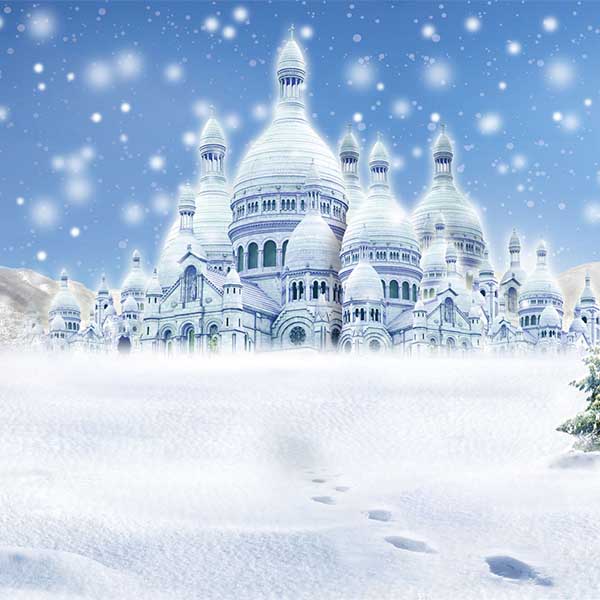 Fox Rolled Snow Winter Castle Vinyl Photos Backdrop - Foxbackdrop