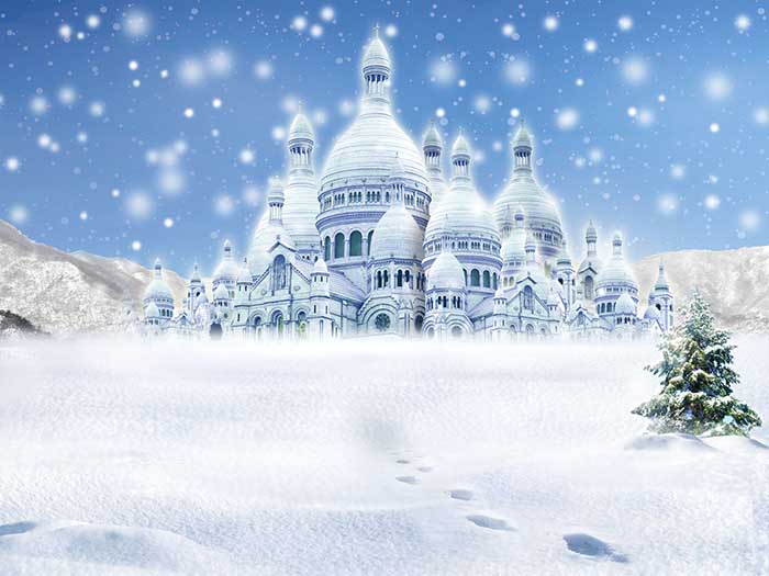 Fox Rolled Snow Winter Castle Vinyl Photos Backdrop - Foxbackdrop