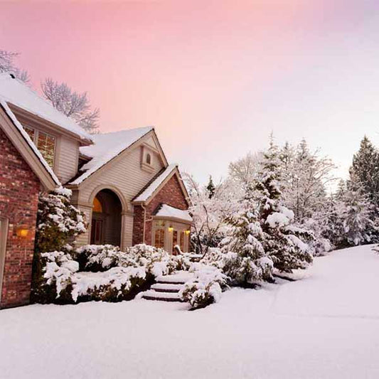 Fox Rolled Winter Snow Outdoor Vinyl Photo Backdrop - Foxbackdrop