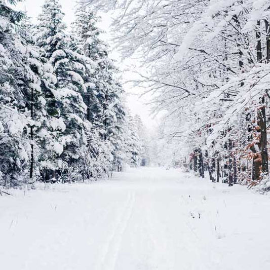 Fox Rolled Winter Snow Trees Vinyl Photo Backdrop - Foxbackdrop