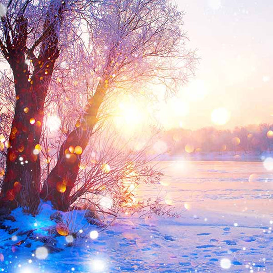 Fox Rolled Winter Snow Sunshine Vinyl Backdrop - Foxbackdrop