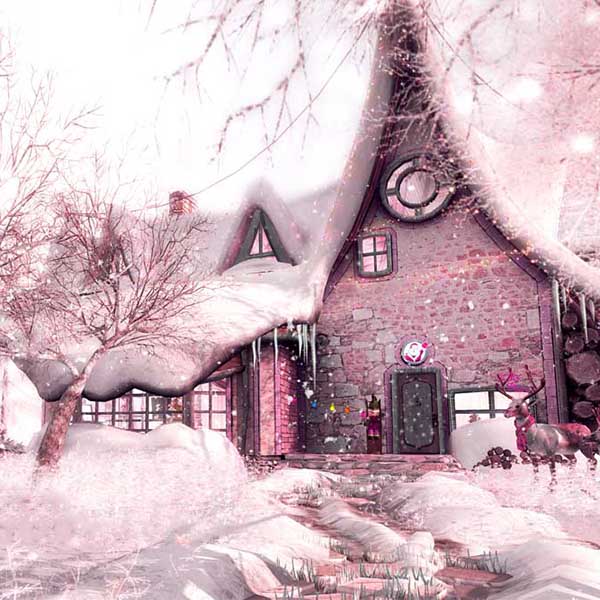 Fox Rolled Snow Building Winter Vinyl Backdrop - Foxbackdrop