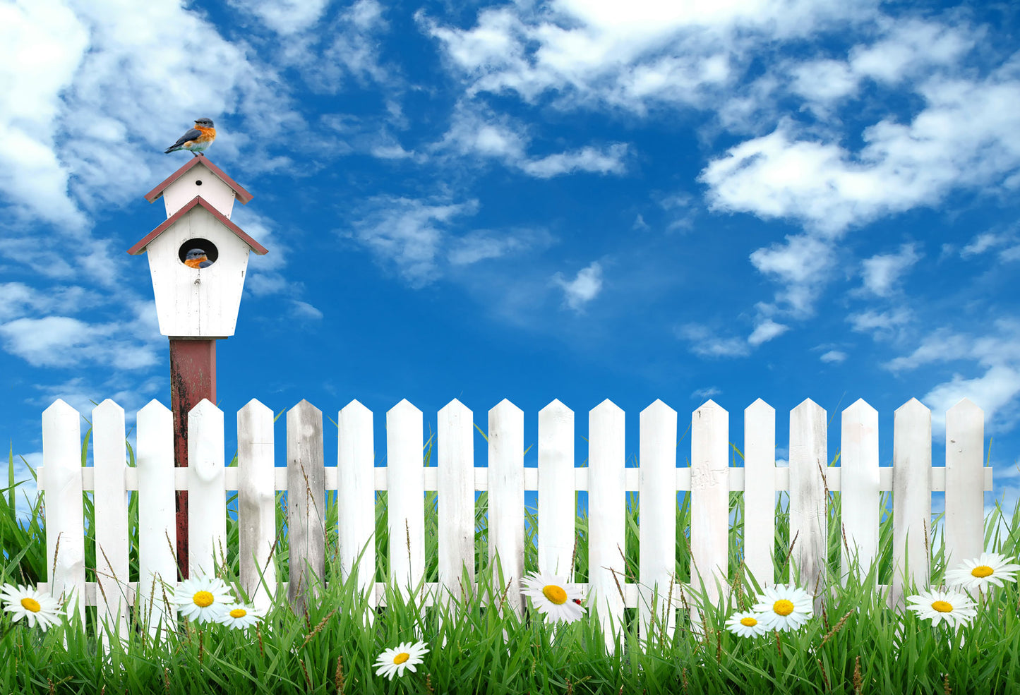 Fox Blue Sky Fence Grassland Children Photos Vinyl Backdrop - Foxbackdrop