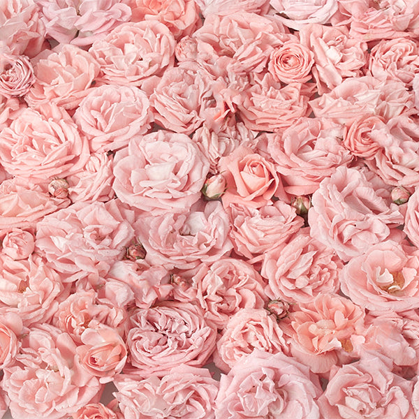 Fox Roll Pink Flowers Thick Vinyl Backdrops - Foxbackdrop