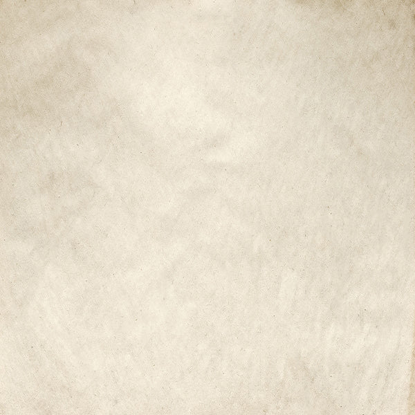 Fox Beige Abstract Portrait Vinyl Texture Photos Backdrop - Foxbackdrop