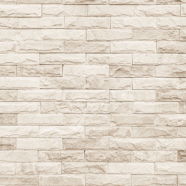 Fox Rolled Brick Wall Vinyl Photography Backdrop - Foxbackdrop