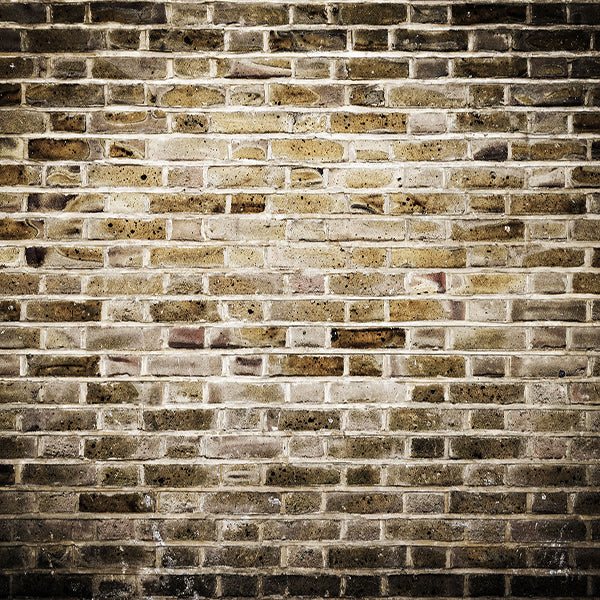 Fox Rolled Retro Brown Brick Wall Vinyl Photos Backdrop - Foxbackdrop