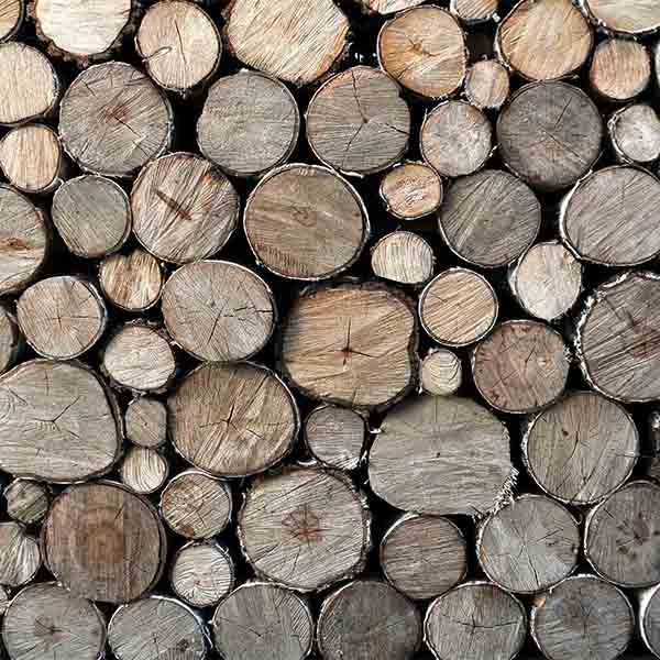 Fox Wood Rolled Thick Vinyl Photos Backdrop - Foxbackdrop
