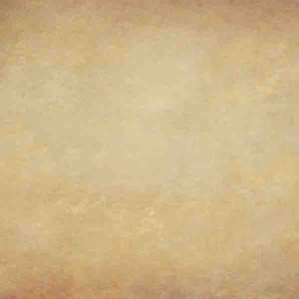 Fox Rolled Retro Brown Abstract Vinyl Photography Backdrop - Foxbackdrop