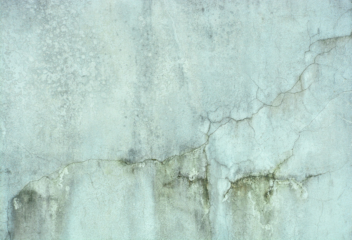 Fox Retro Damaged Wall Vinyl Backdrop - Foxbackdrop