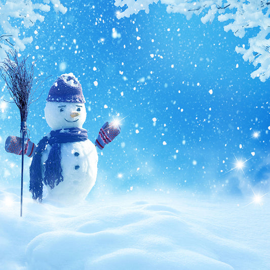 Fox Rolled Winter Snowman Children Photo Vinyl Backdrop - Foxbackdrop